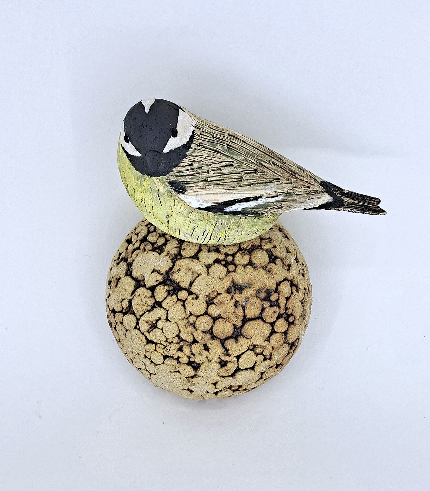 Coaltit on Fat Ball by Annie Tortora