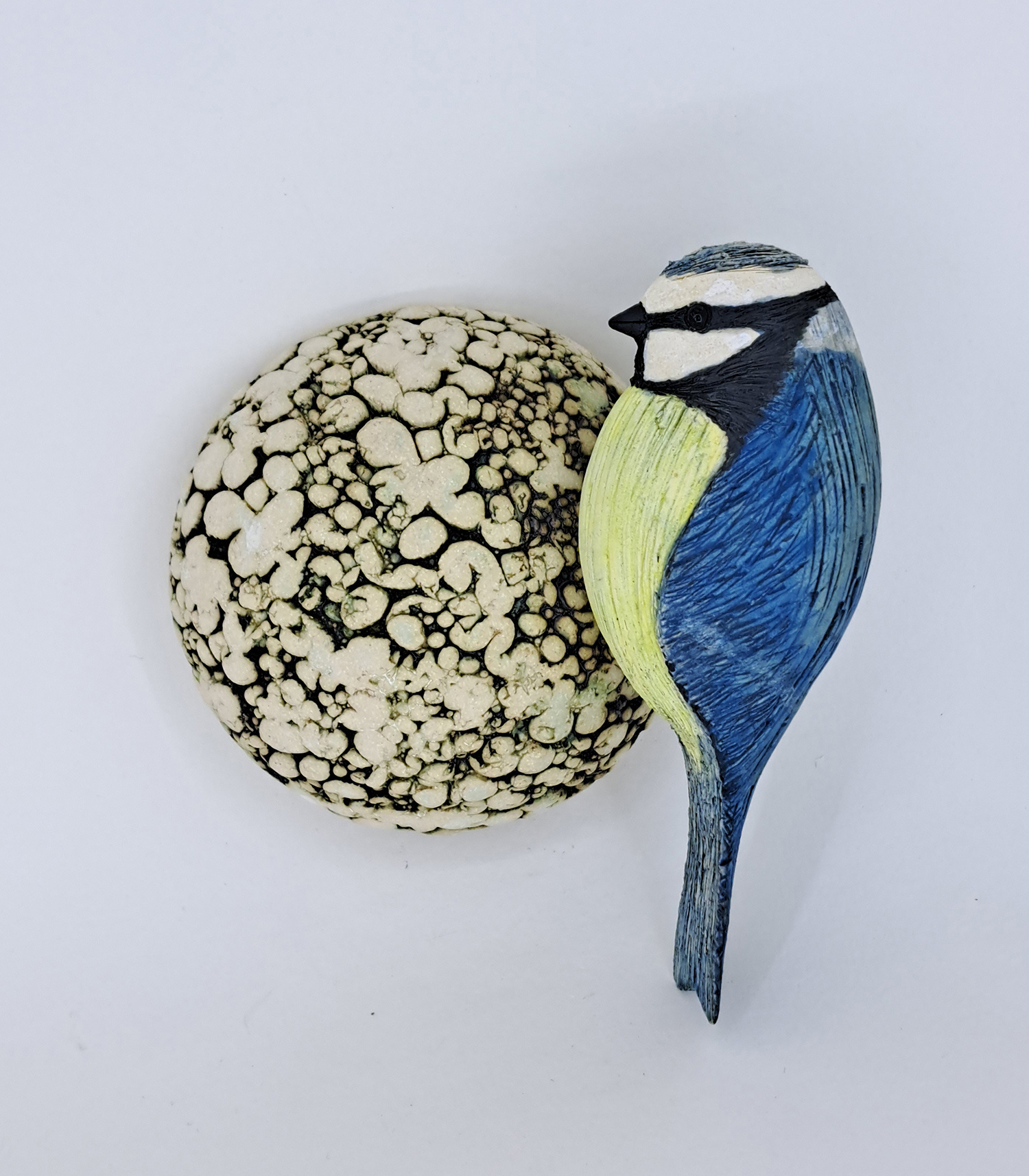 Bluetit on Fat Ball by Annie Tortora