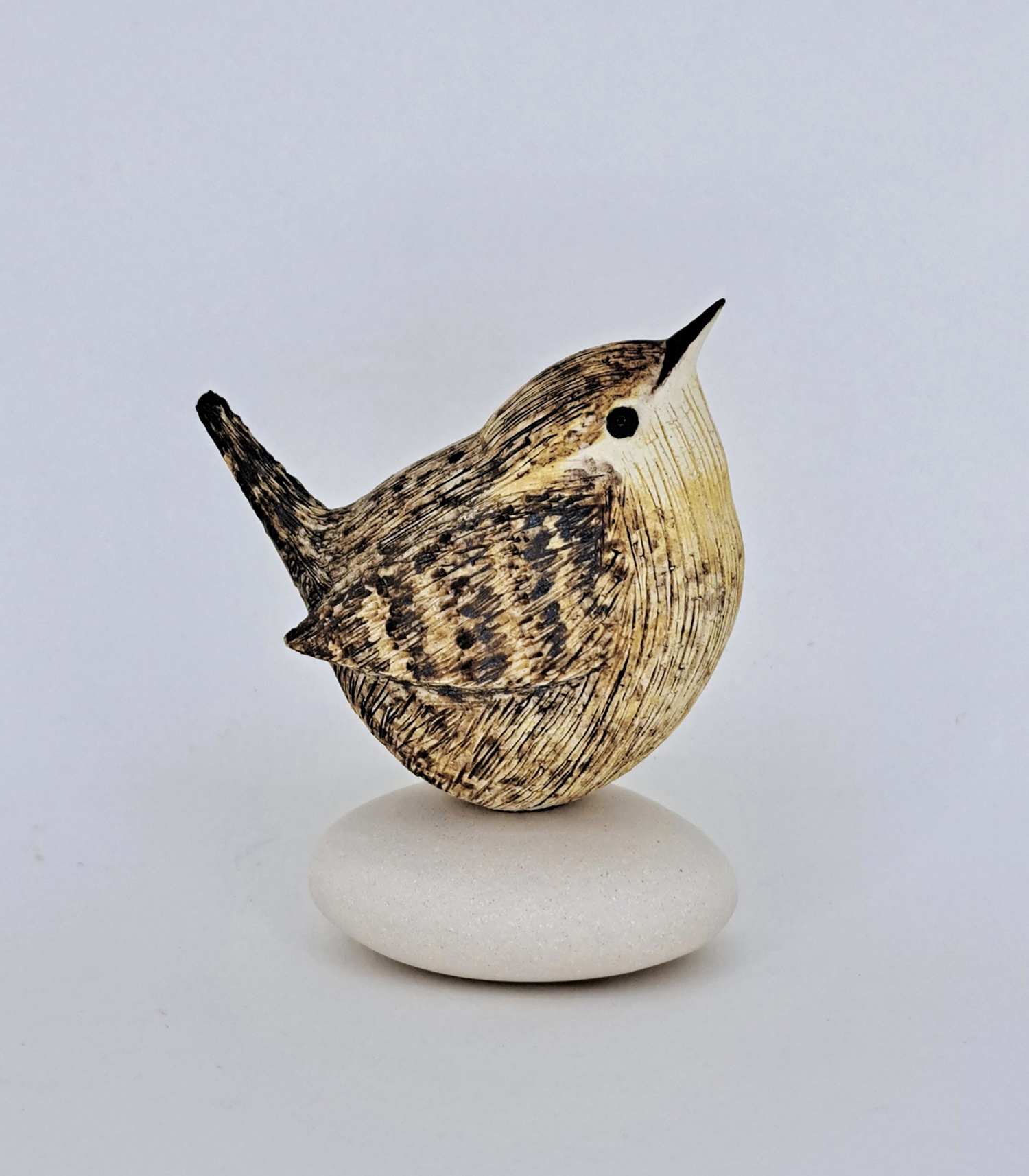 Wren on Pebble by Annie Tortora