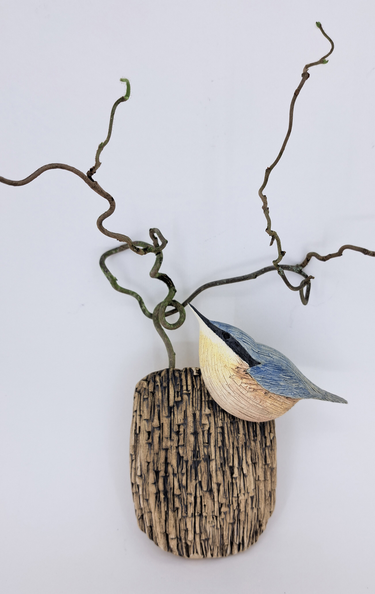 Nuthatch on Bark with Wiry Twig by Annie Tortora