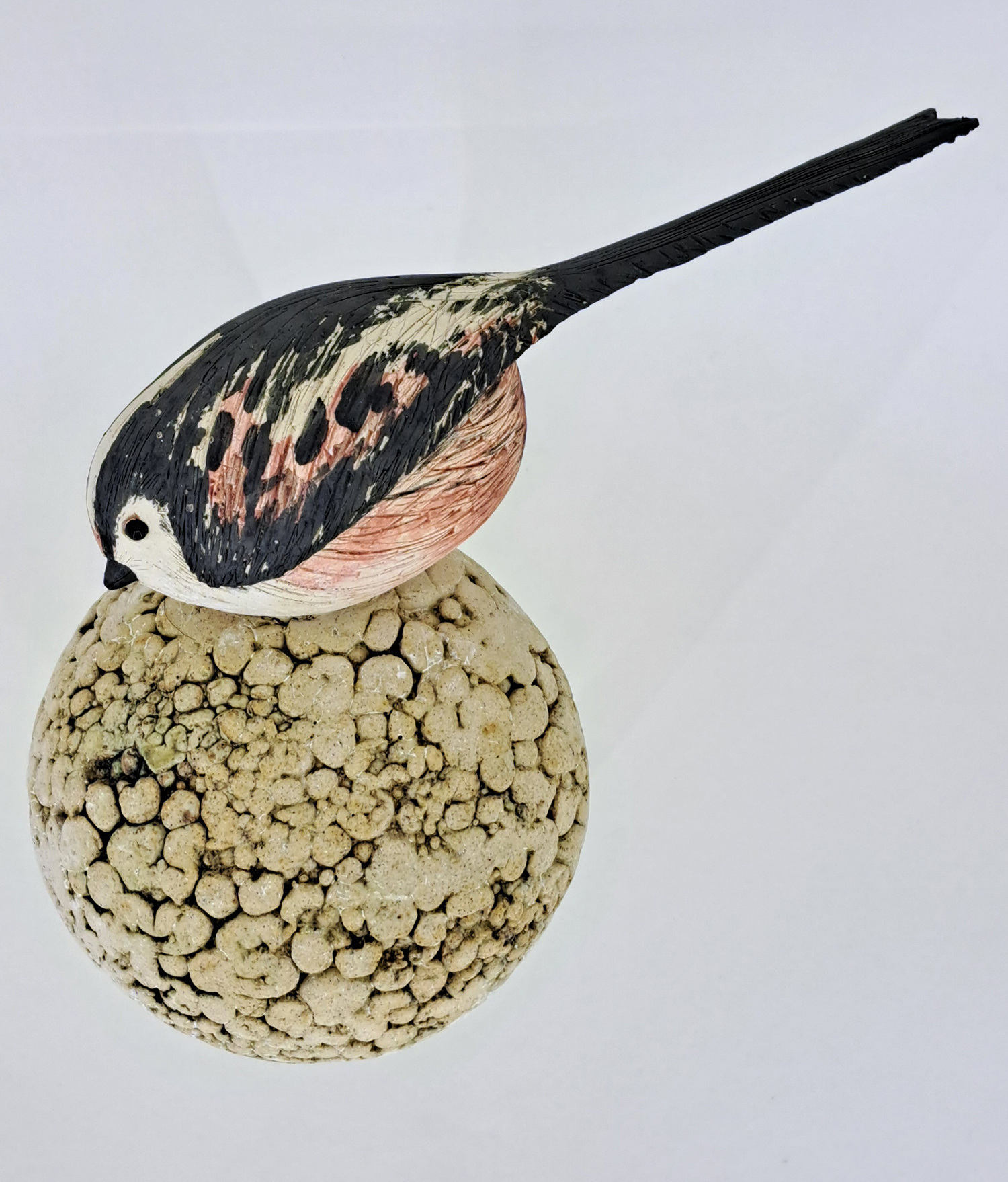 Longtail Tit on Fat Ball by Annie Tortora