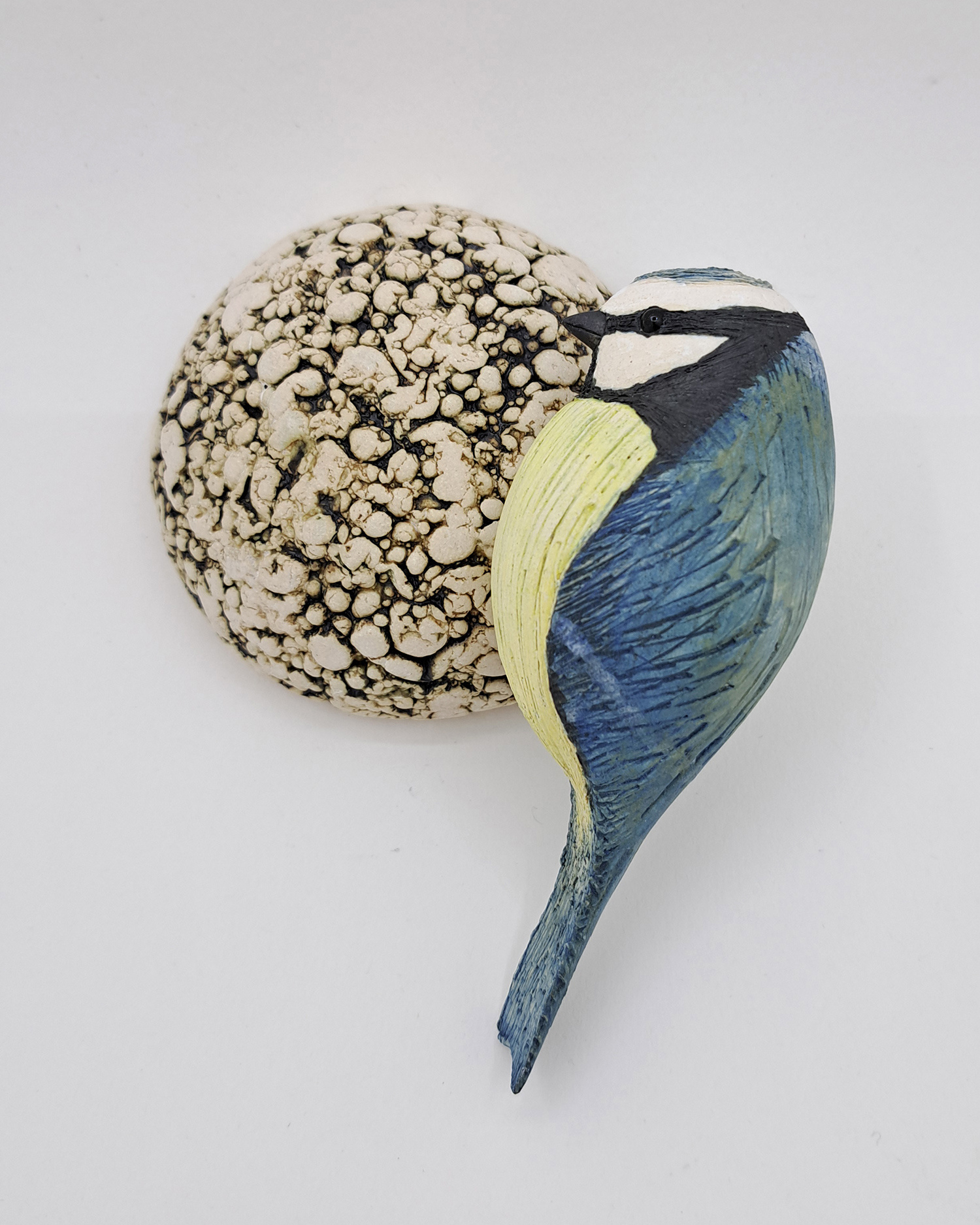 Bluetit on Fat Ball by Annie Tortora