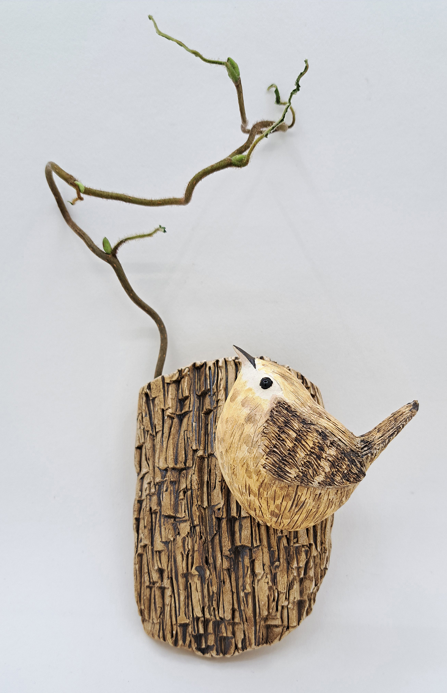 Wren on Bark with Wirly Twig by Annie Tortora