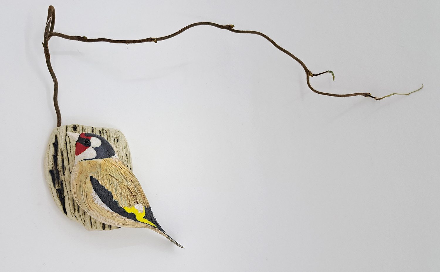 Goldfinch on Bark with Wirly Twig by Annie Tortora