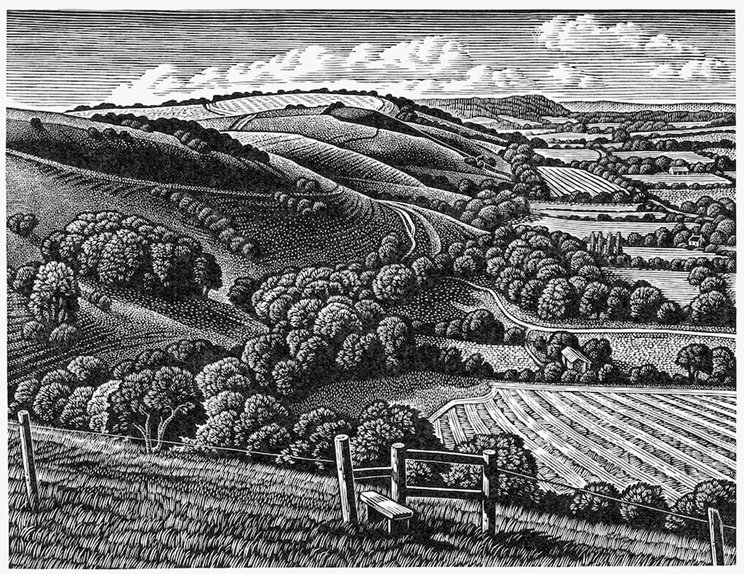 South Downs, Fulking Escarpment by Howard Phipps