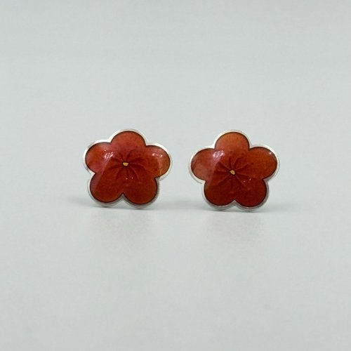 Red Plum Studs