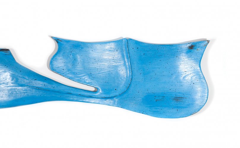 Blue Whale by Max Tannahill - alternative image