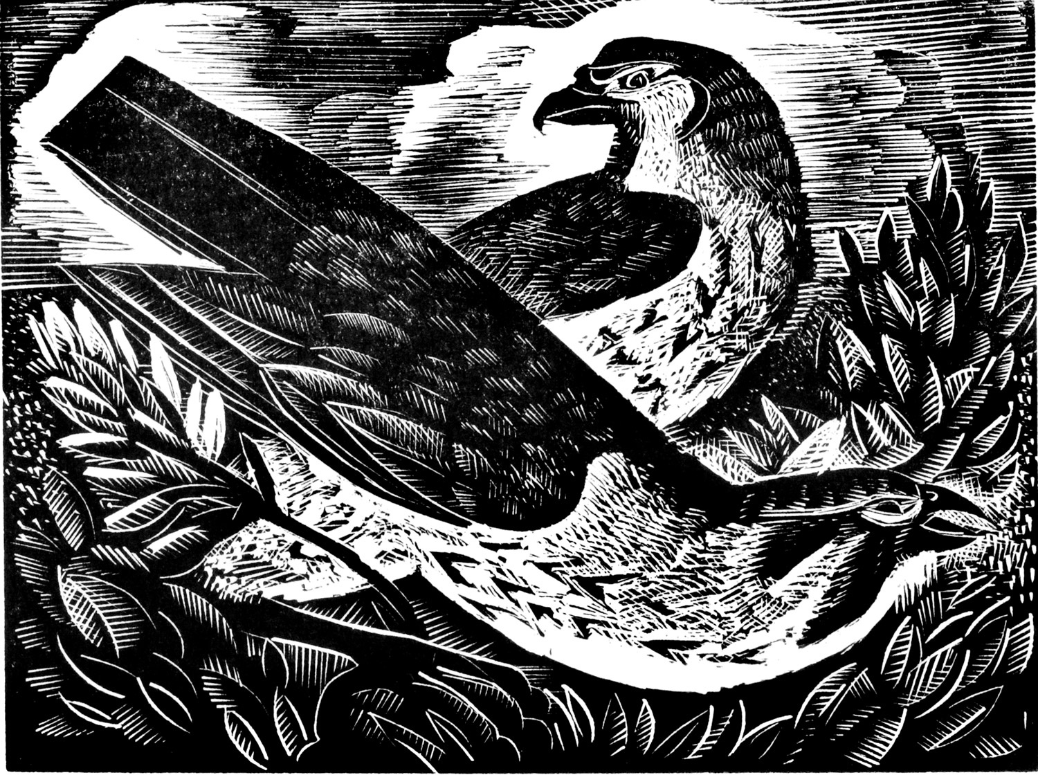 F is for Falcon by Angela Harding