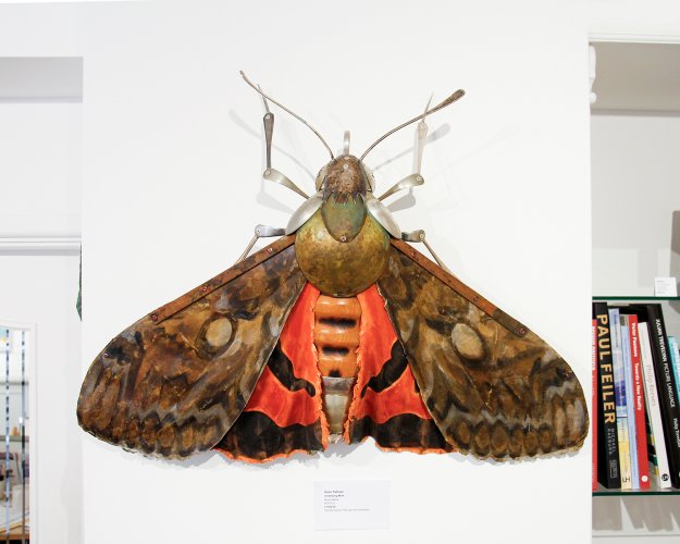 Underwing Moth by Dean Patman - alternative image