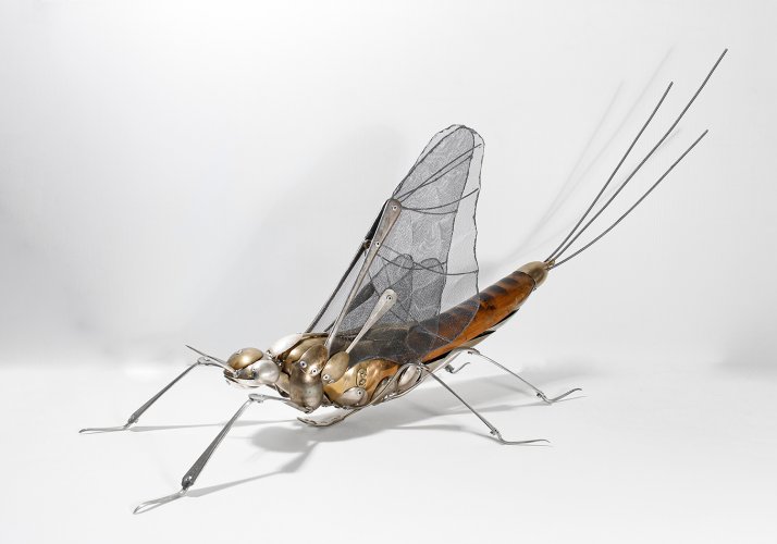 Mayfly by Dean Patman - alternative image