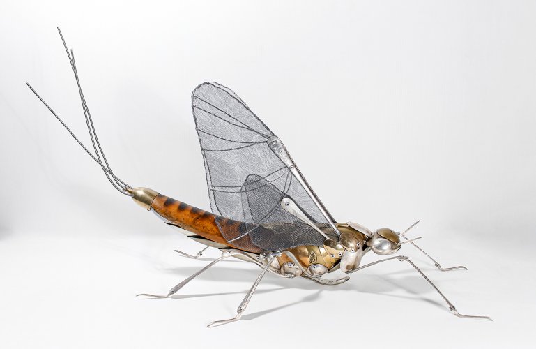 Mayfly by Dean Patman - alternative image