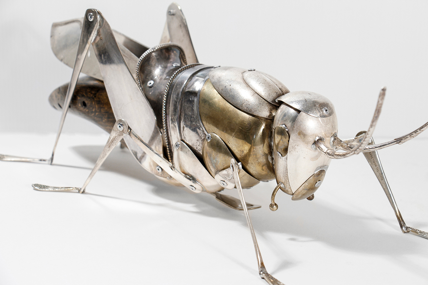 Grasshopper by Dean Patman