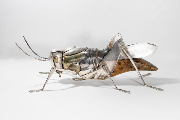 Grasshopper by Dean Patman - alternative image