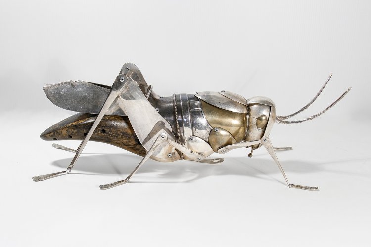 Grasshopper by Dean Patman - alternative image