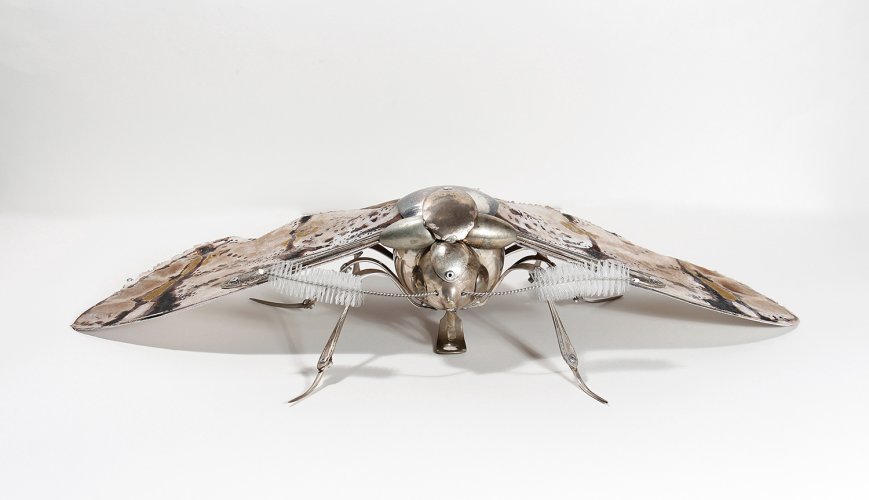 Bar Moth by Dean Patman - alternative image