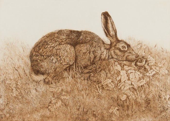 Hare & Leverets (Amblecote)