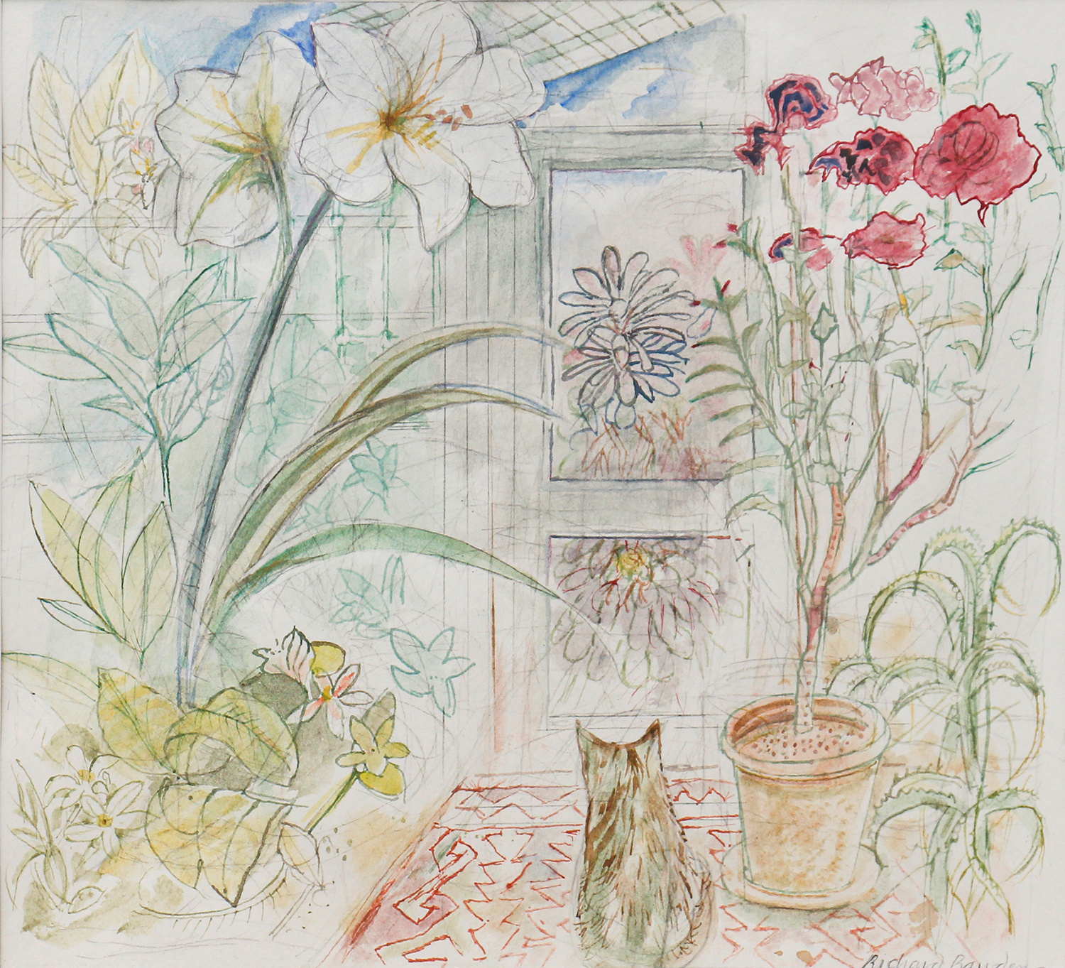 Amaryllis and Pelargonium by Richard Bawden