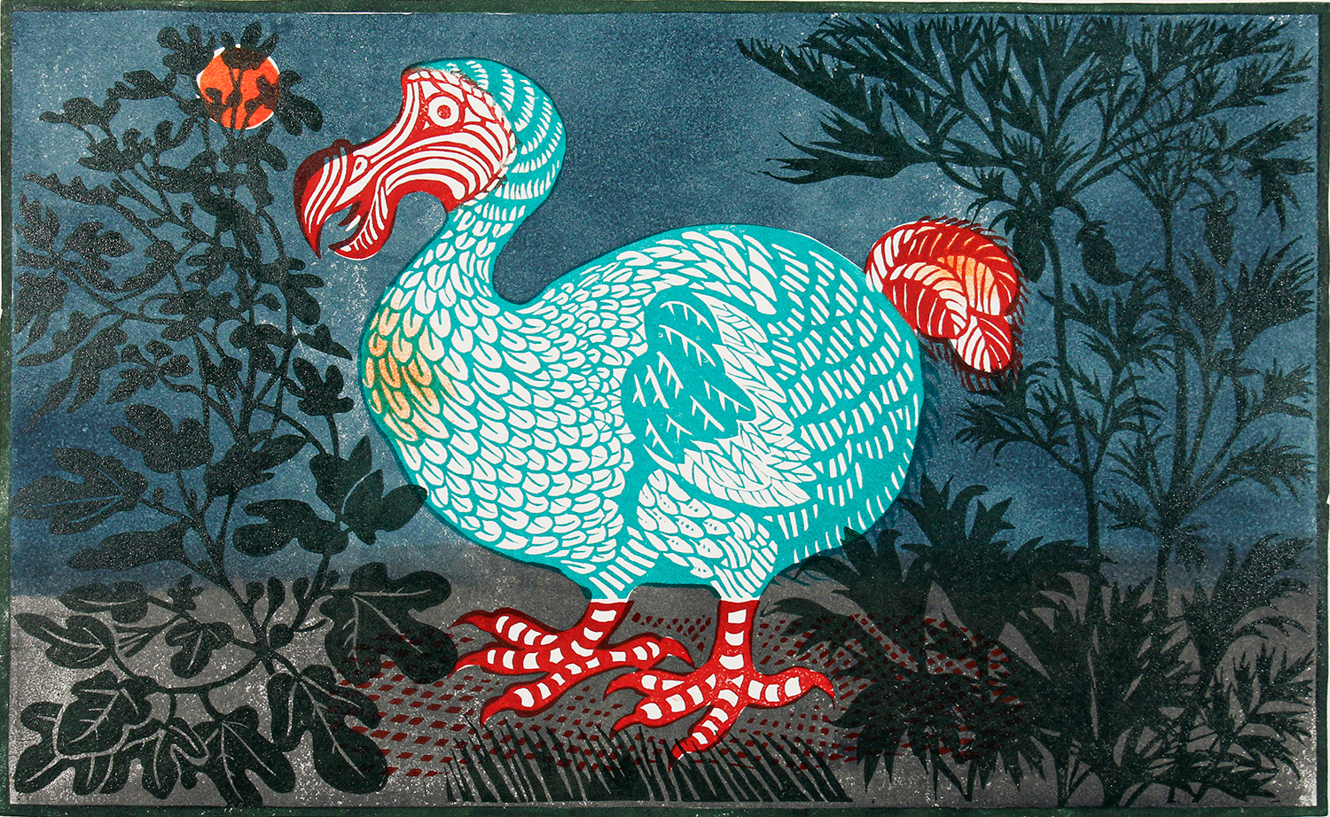 Dodo by Richard Bawden