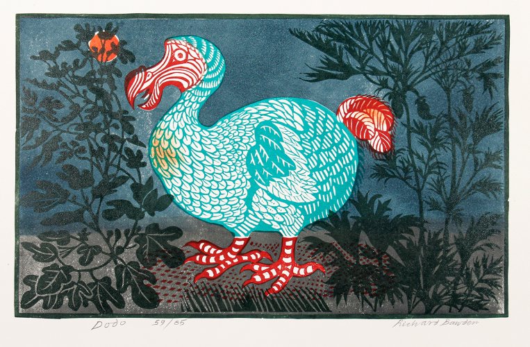 Dodo by Richard Bawden - alternative image