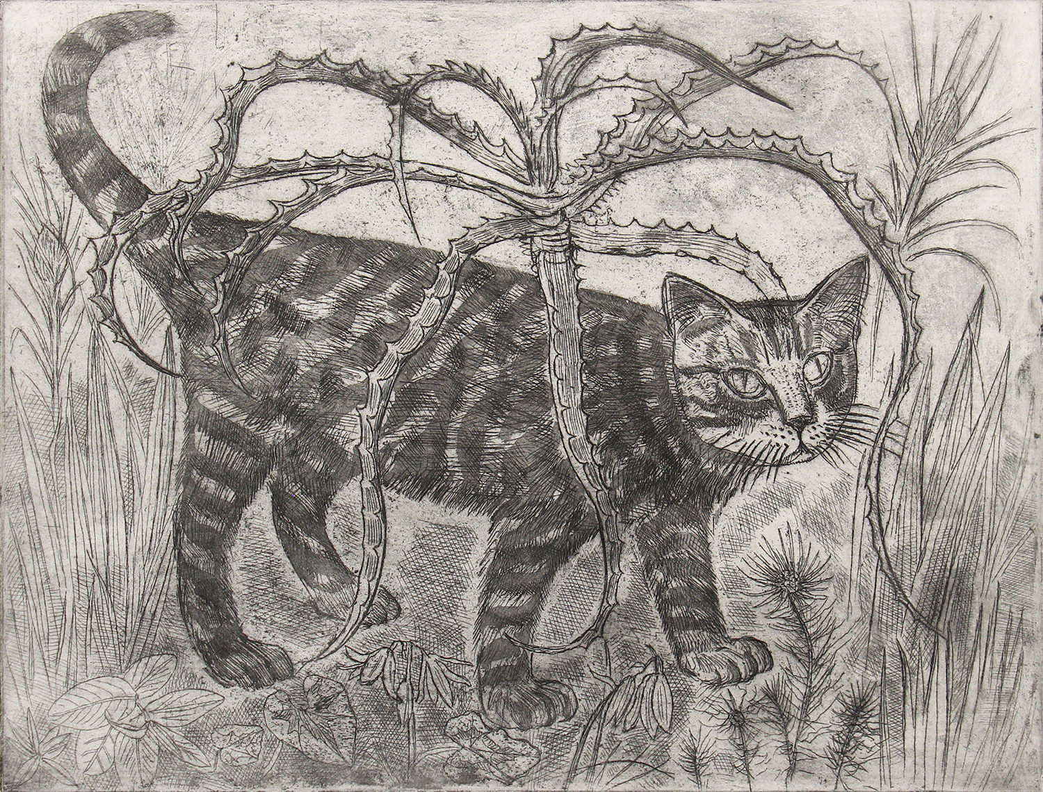 Through the Jungle by Richard Bawden