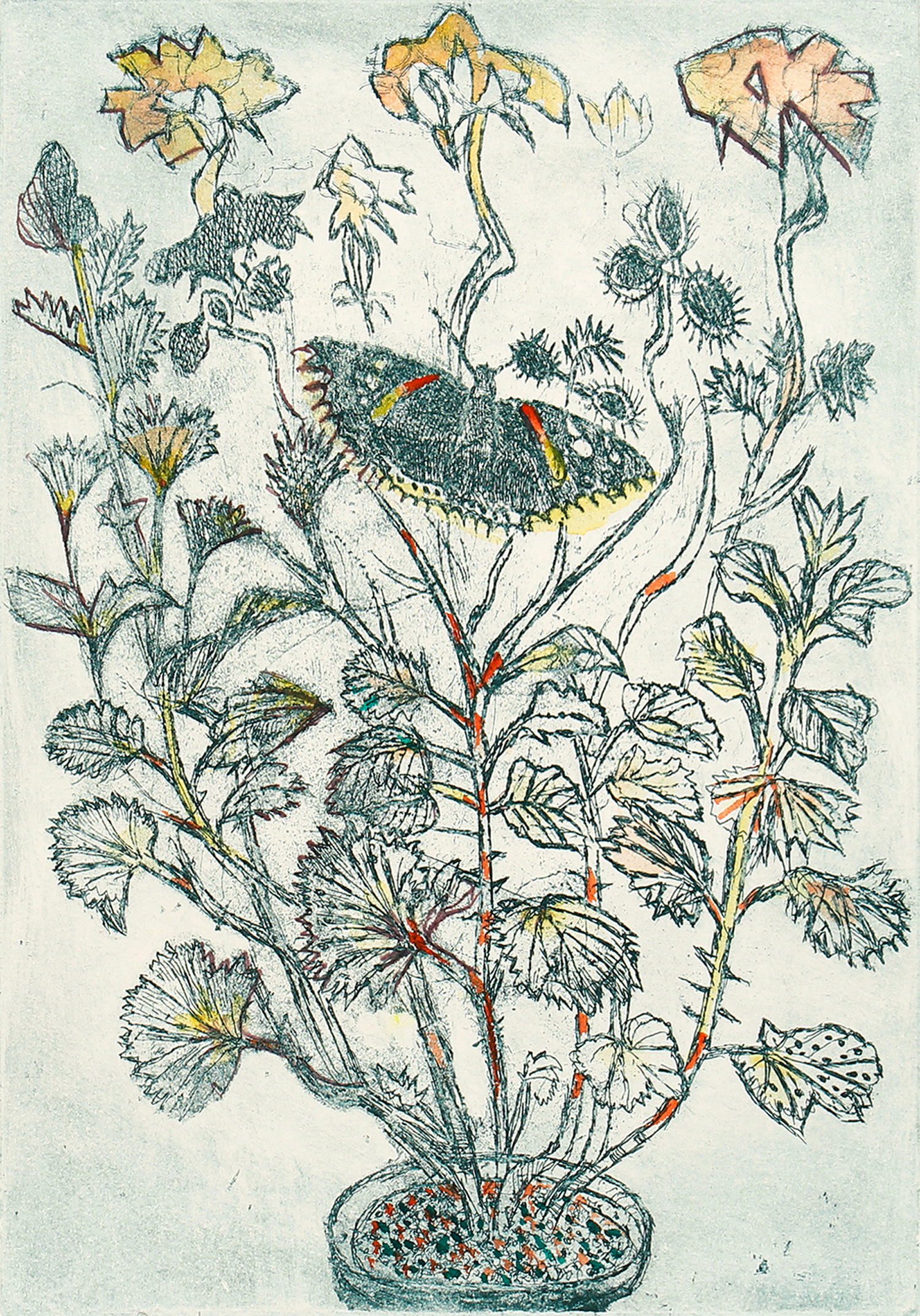 Red Admiral and Lord Bute by Richard Bawden