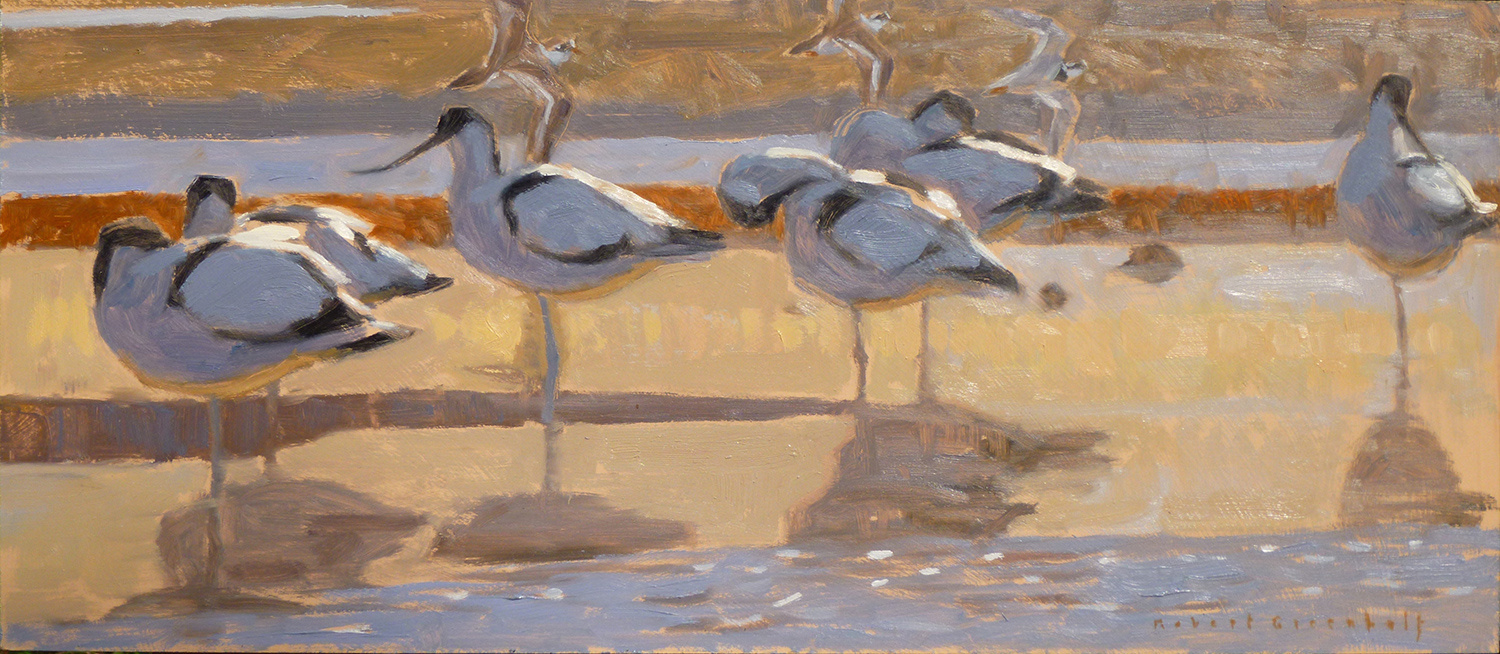 Avocets and Ringed Plovers by Robert Greenhalf