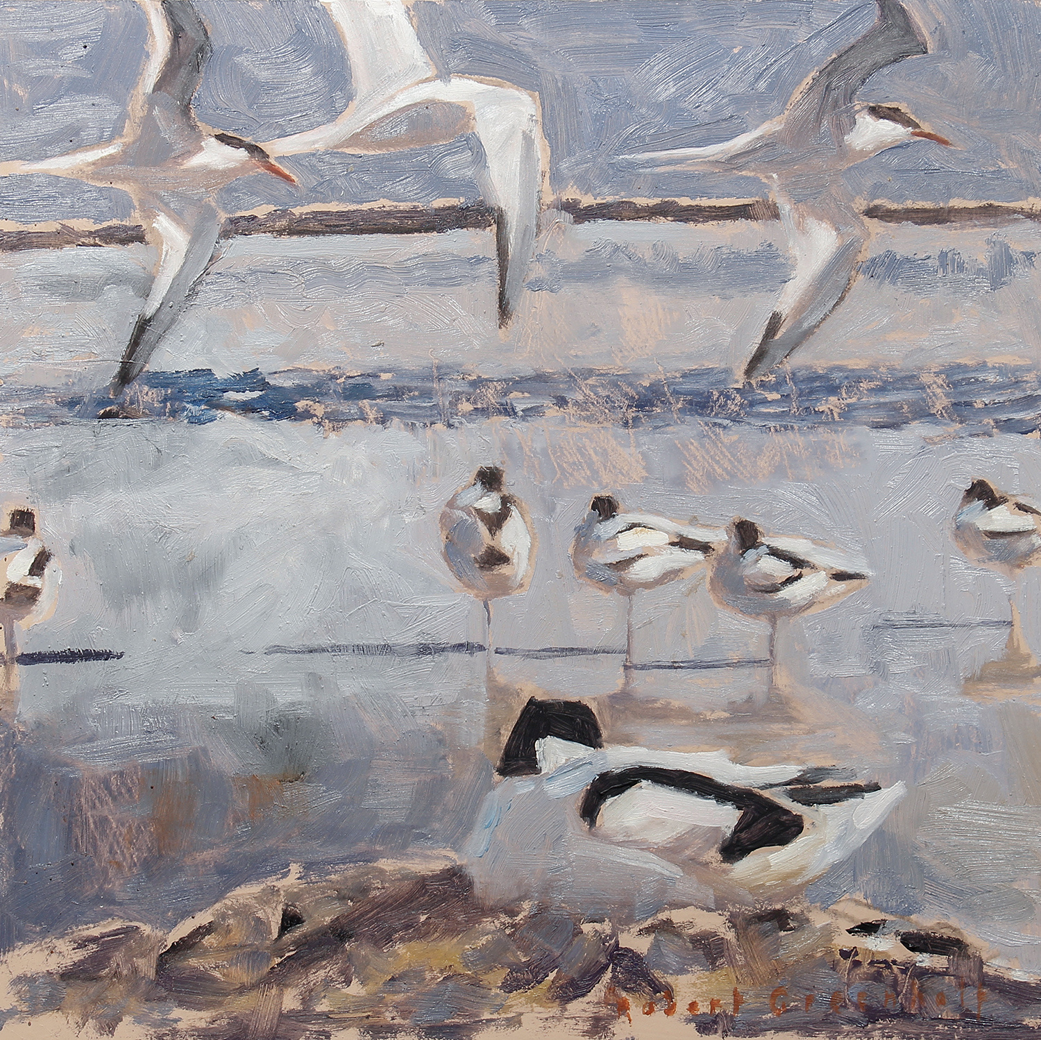 Avocets and Terns by Robert Greenhalf