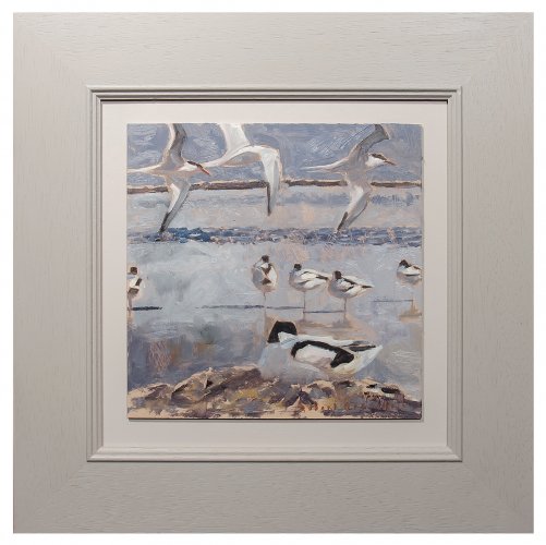 Avocets and Terns by Robert Greenhalf - alternative image