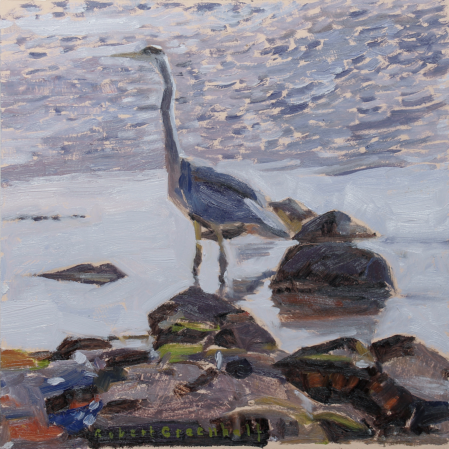 Shoreline Heron by Robert Greenhalf