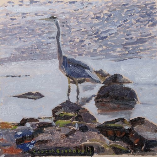 Shoreline Heron