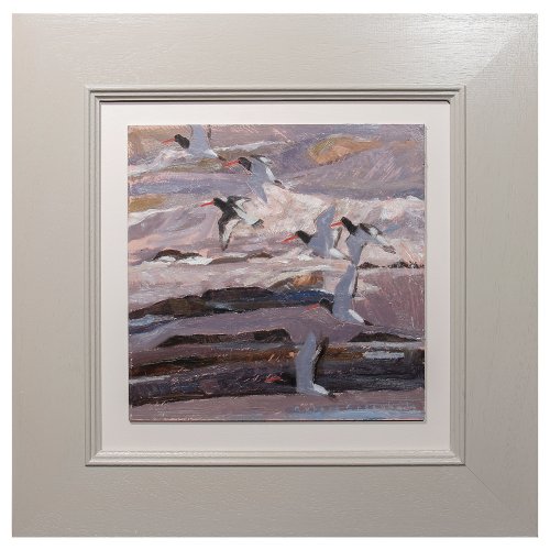 Oystercatchers Lifting Off by Robert Greenhalf - alternative image