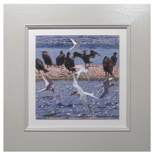 Cormorants and Common Terns by Robert Greenhalf - alternative image