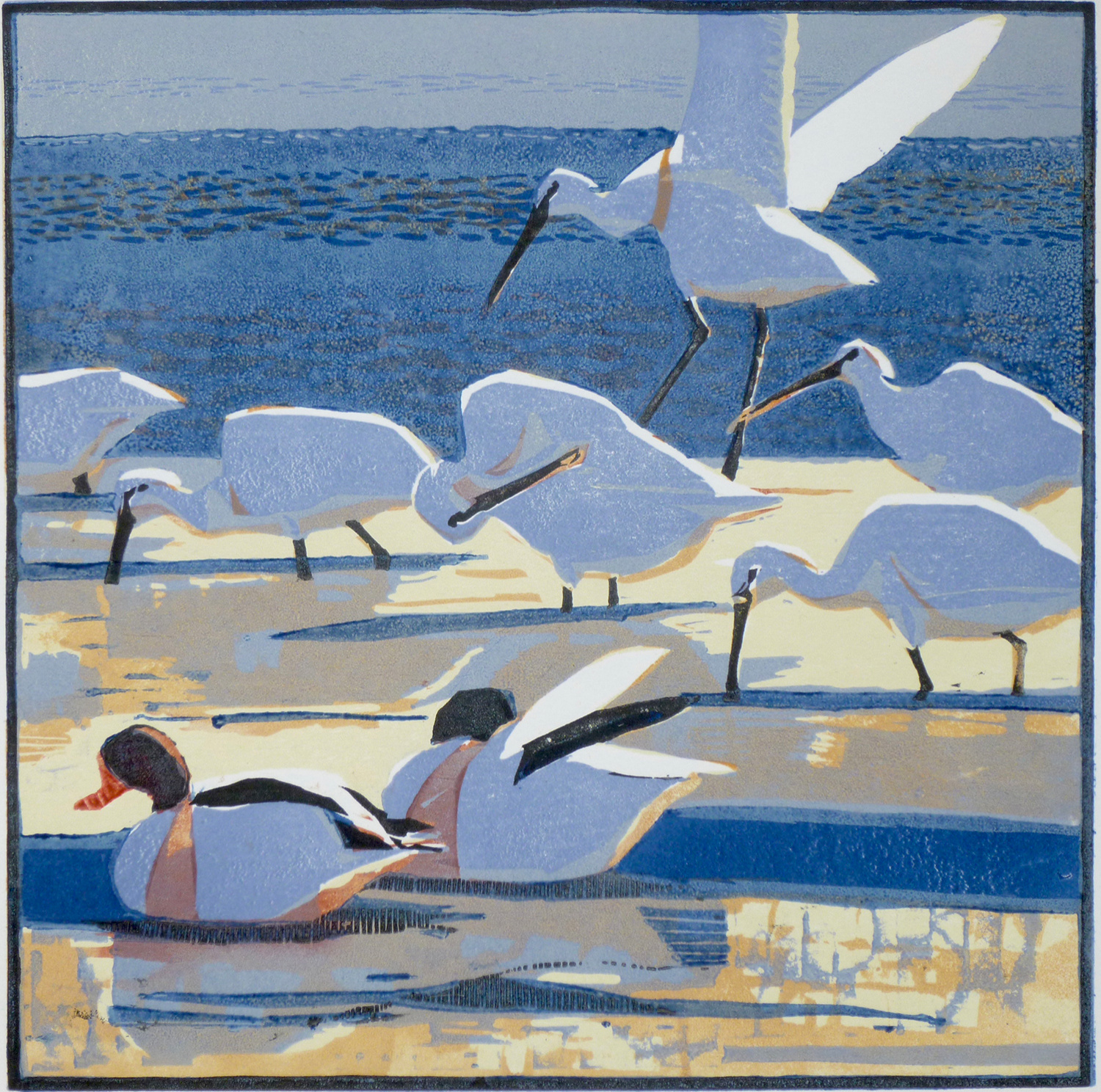 Spoonbills and Shelducks by Robert Greenhalf