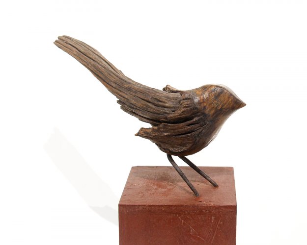 Bird by Roger Hardy - alternative image