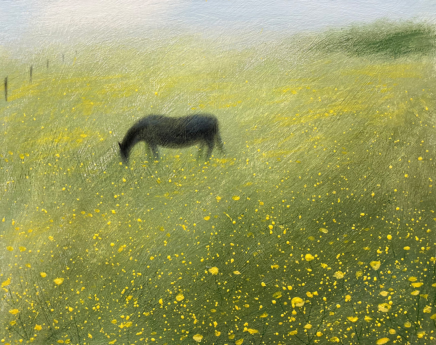 Horse in the Buttercup Field by Russell Wilson