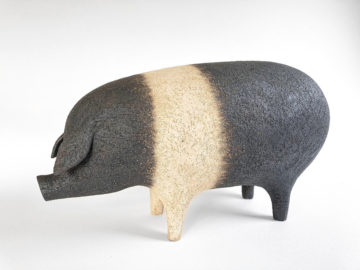 Saddleback Pig by Russell Wilson