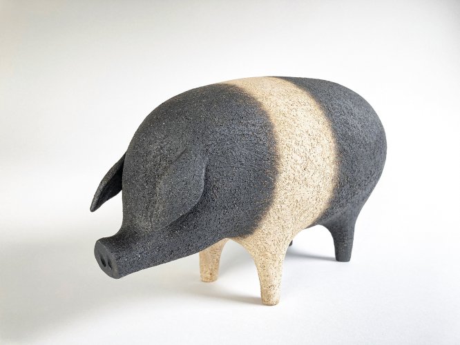 Saddleback Pig by Russell Wilson - alternative image