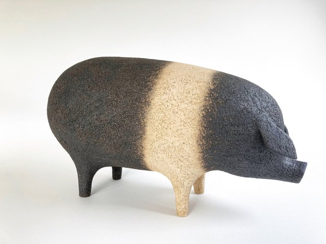 Saddleback Pig by Russell Wilson - alternative image