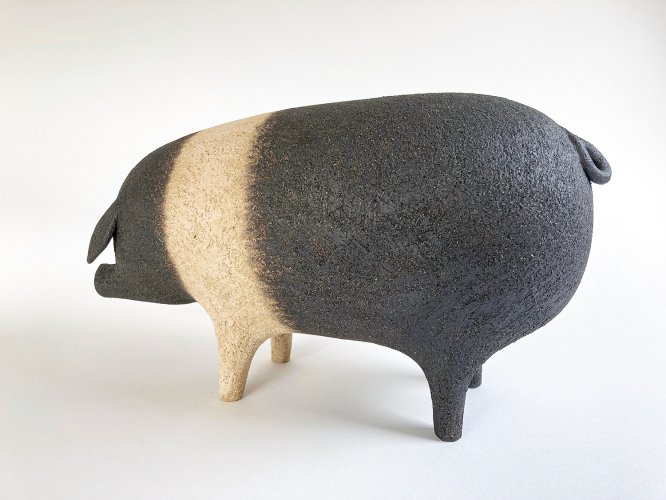 Saddleback Pig by Russell Wilson - alternative image