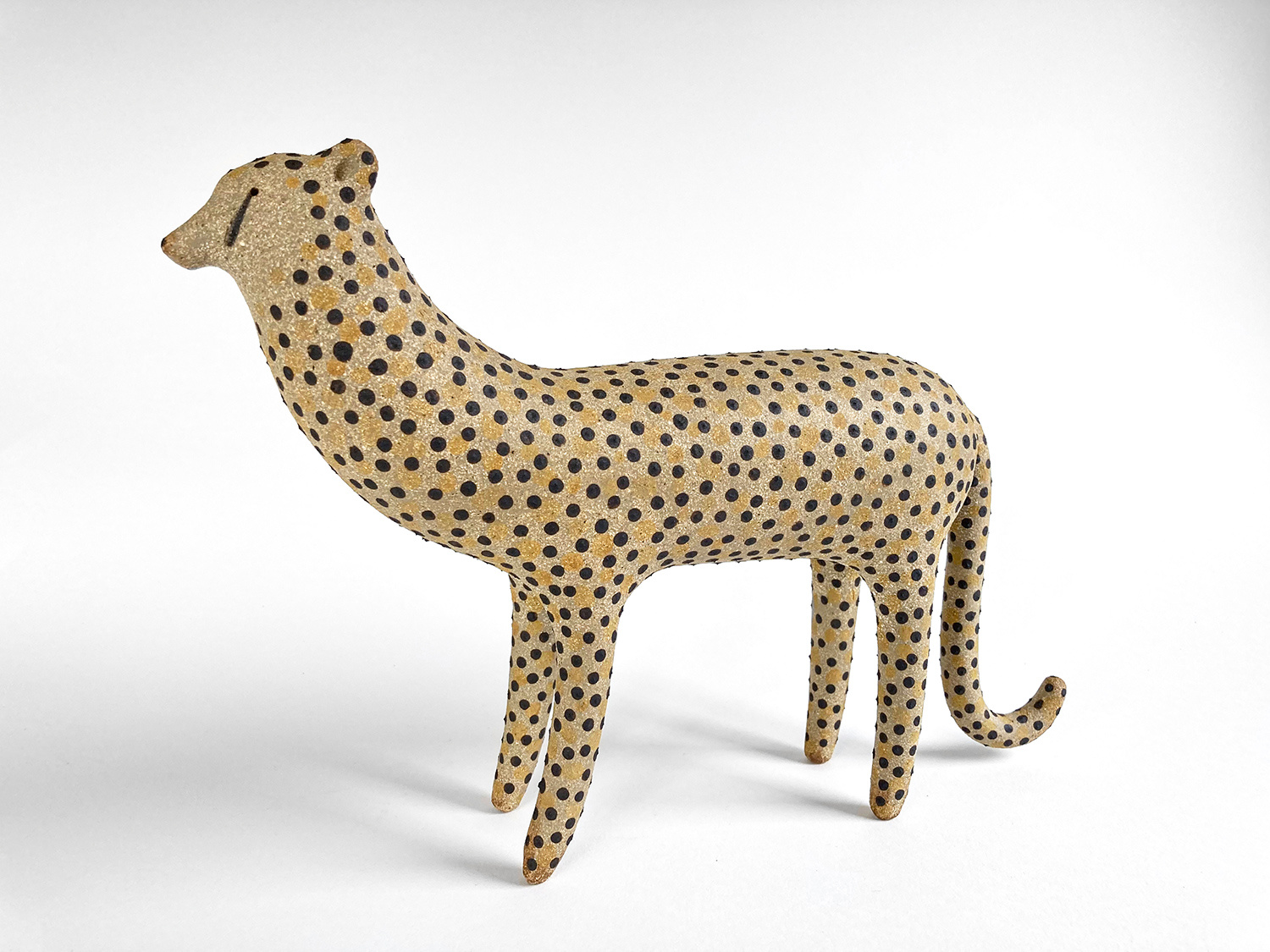 Cheetah by Russell Wilson