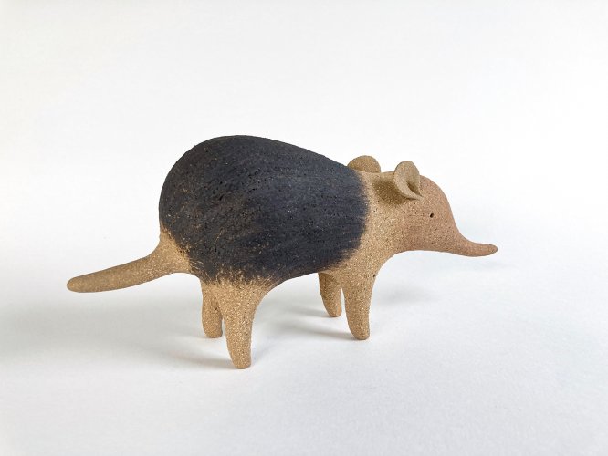 Elephant Shrew by Russell Wilson - alternative image