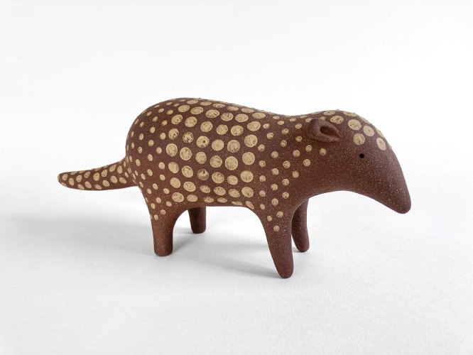 Armadillo by Russell Wilson - alternative image