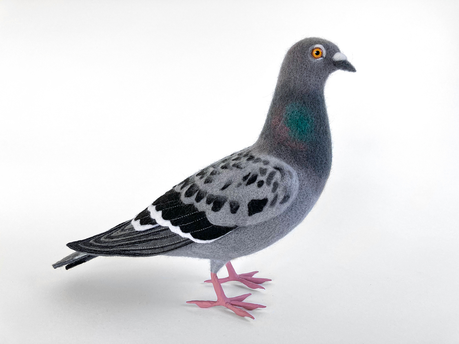 Feral Pigeon 1 by Russell Wilson