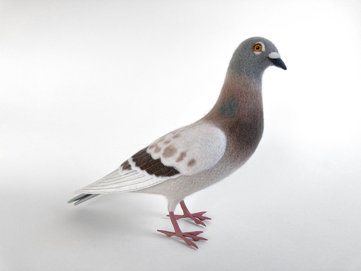 Feral Pigeon 2 by Russell Wilson