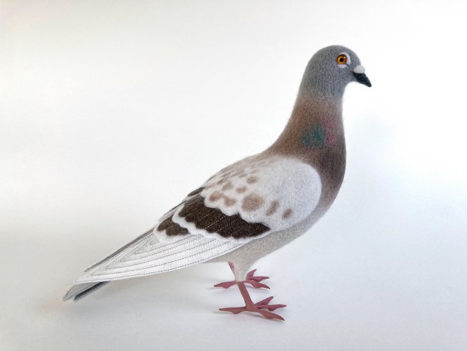 Feral Pigeon 2 by Russell Wilson - alternative image