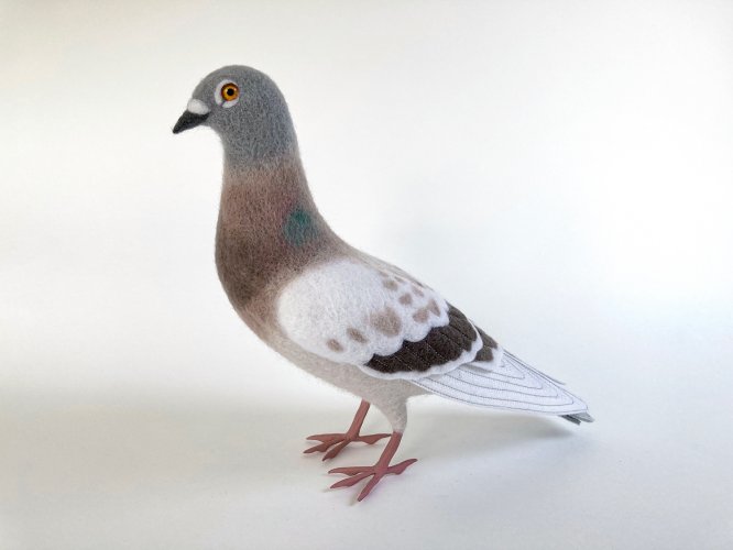 Feral Pigeon 2 by Russell Wilson - alternative image