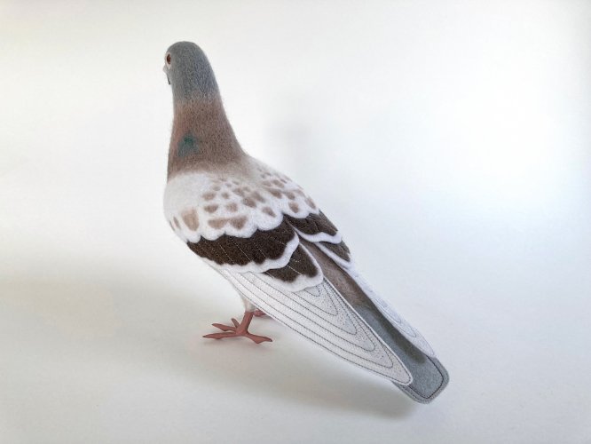 Feral Pigeon 2 by Russell Wilson - alternative image