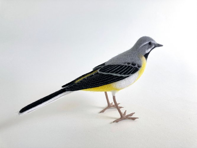 Grey Wagtail by Russell Wilson - alternative image