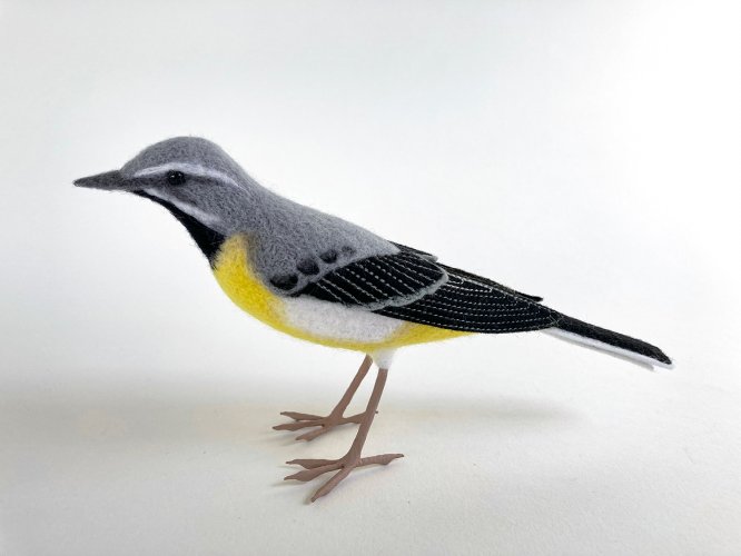 Grey Wagtail by Russell Wilson - alternative image