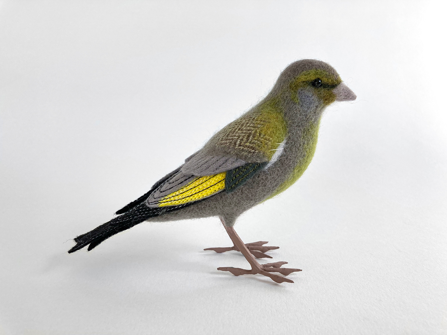 Greenfinch by Russell Wilson